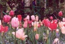 Versailles - Giverny / With Lunch Moulin de Fourge